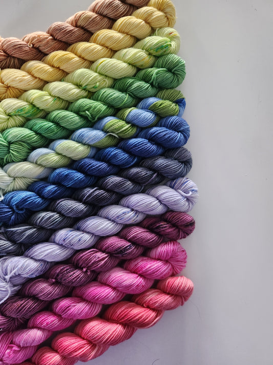 Mini Bundle Sets - Full The Magic We Inherit Collection - Hand Dyed Yarn