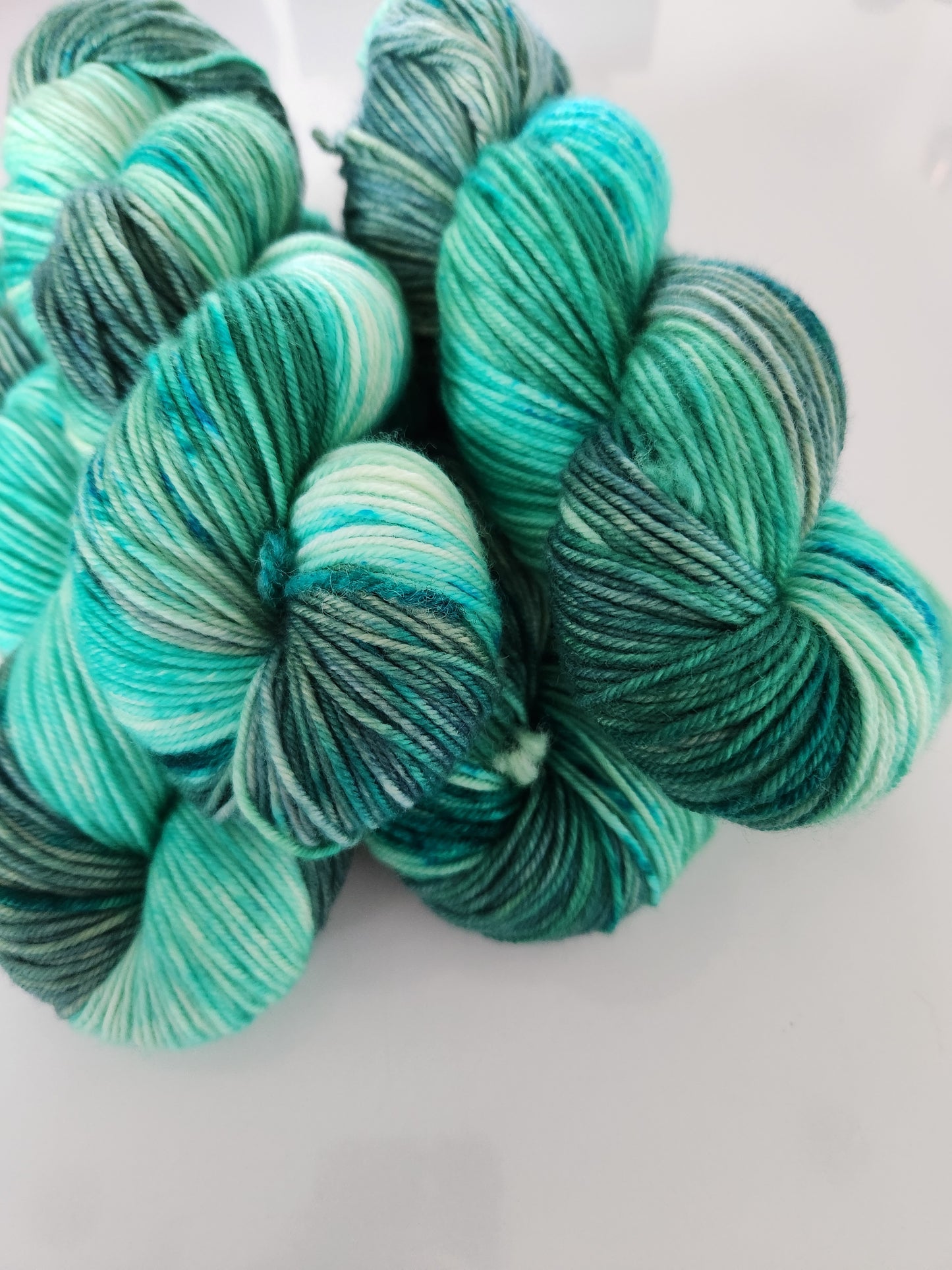 Rejuvenate - Hand Dyed Yarn