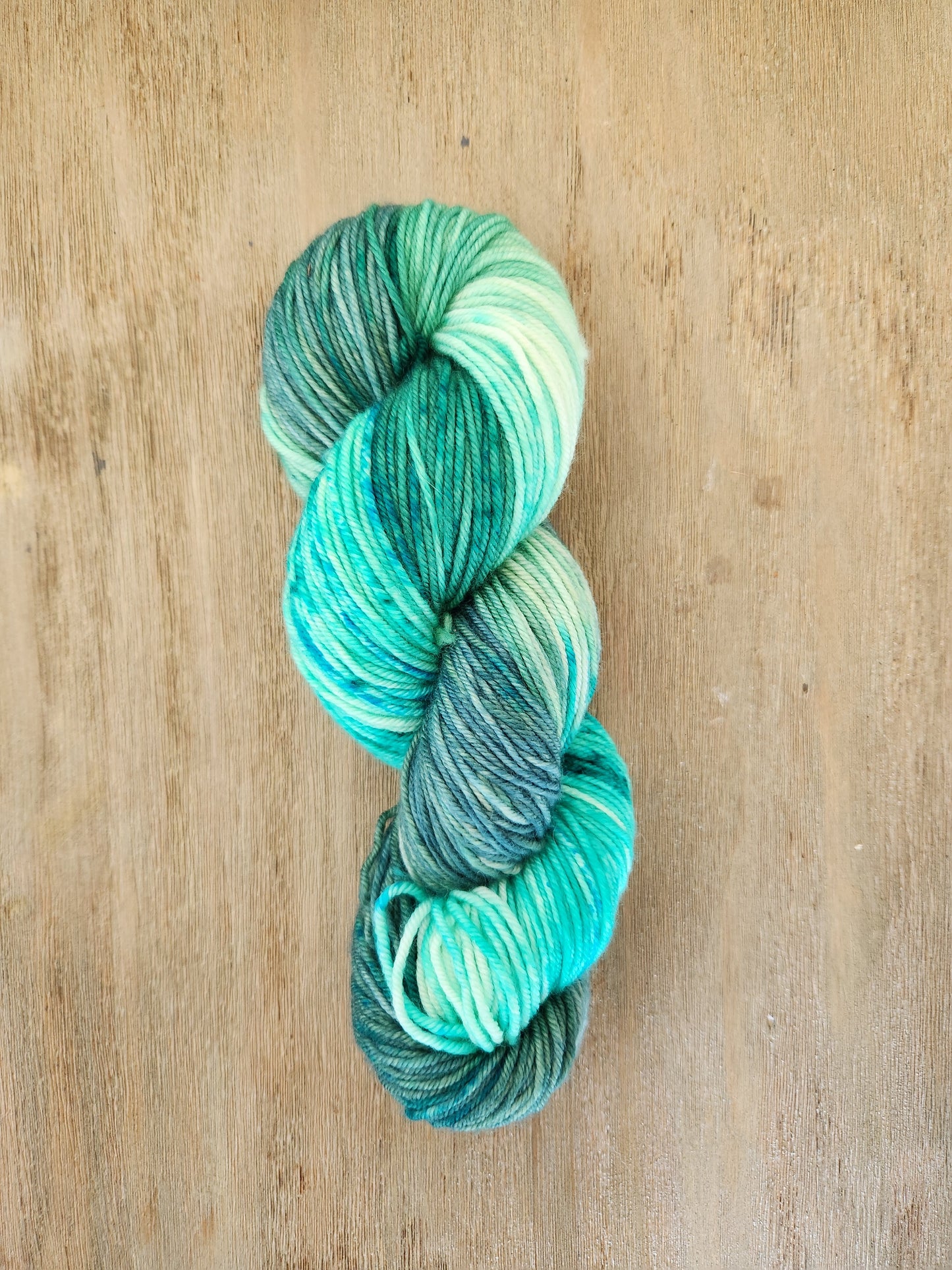 Rejuvenate - Hand Dyed Yarn